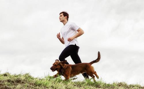 ورزش سگ دوانی چیست؟